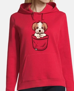 pocket shih tzu
