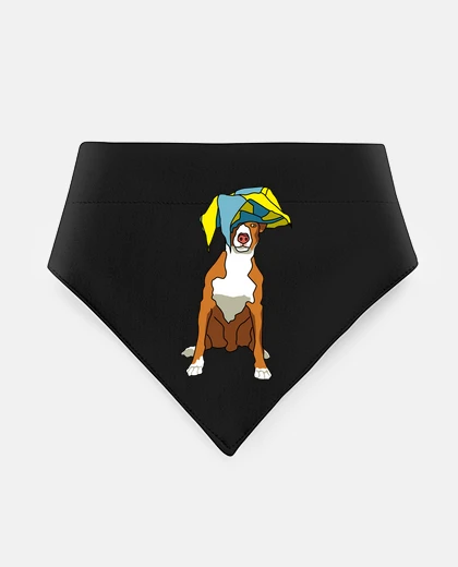 Mascotas Podenco de fiesta
