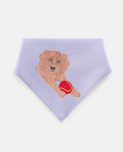 Mascotas poodle