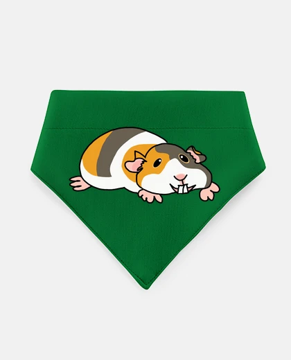 Mascotas porcellino d39India