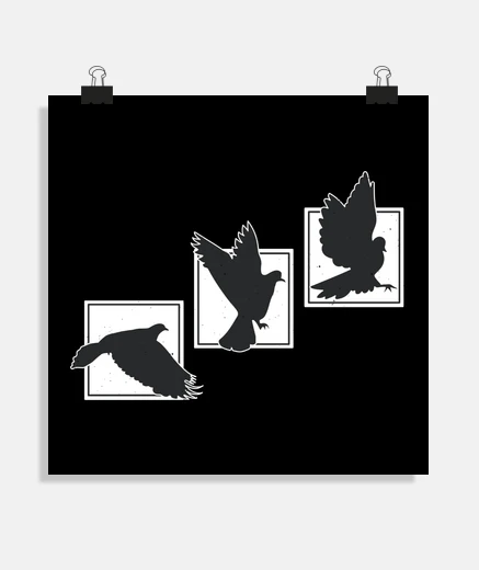 Poster poster carre pour decoration ou home staging, Pigeons silhouette vol d oiseaux
