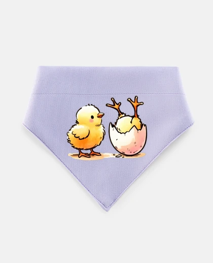 Mascotas poussins situation complexe funny