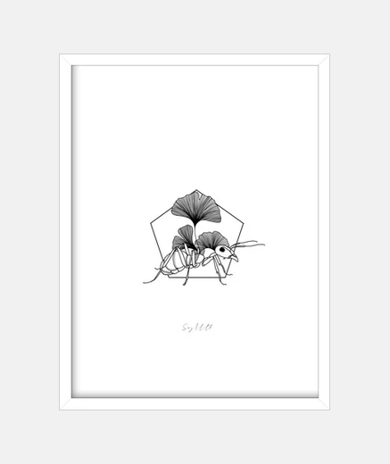 Quadro Prima