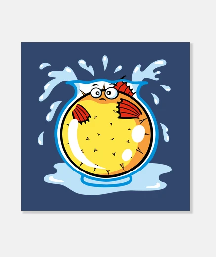 Wall puffer fish in fish tank