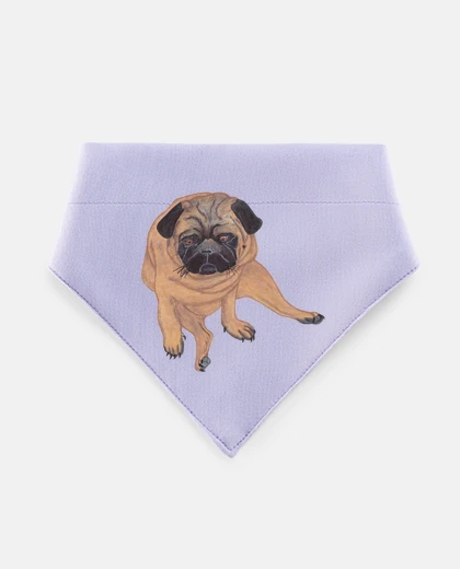 Mascotas pug