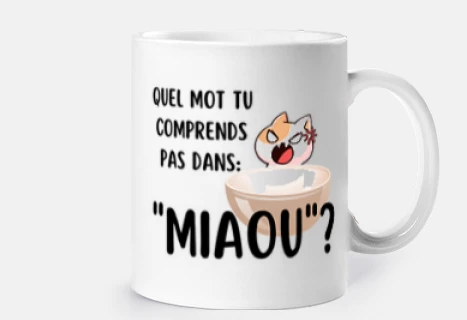 quel mot tu comprends pas