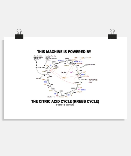 Poster questa macchina è alimentata dal citric