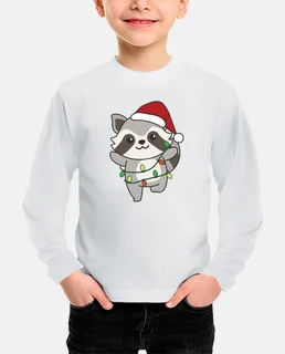 Raccoon Christmas Winter Animals