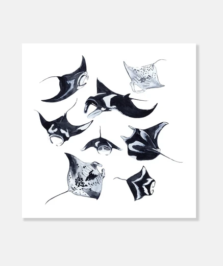 Tableau raies