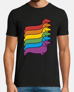 rainbow dachshund