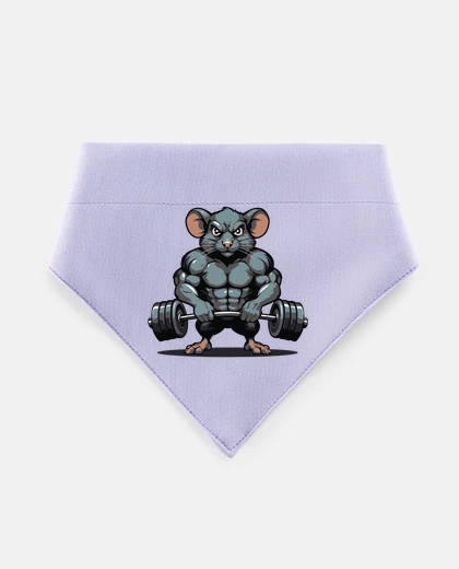 Mascotas rat doing bodybuilding sport cut supporter