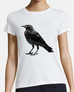 raven poe