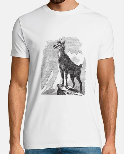 Camiseta Rebeco Agil
