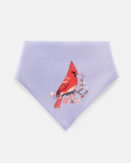 Mascotas red cardinal bird of virginia