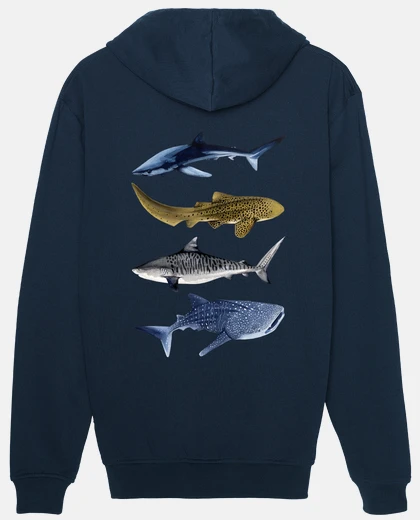 Sweat requins ii