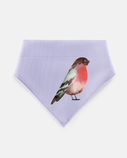 Mascotas robin bird song romantic japan