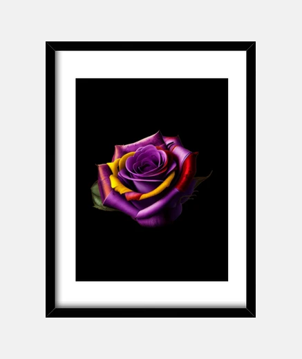 Quadro rosa dlei repubblica