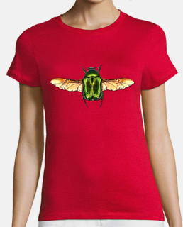 Rose chafer beetle-Escarabajo abejorro de la rosa