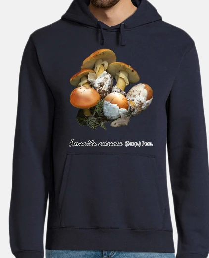 S Amanita caesarea
