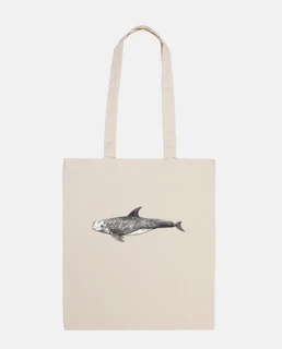 sac delfin de risso calderón gris grampus g