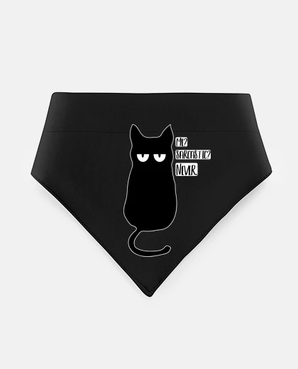 Mascotas sarcastic cat