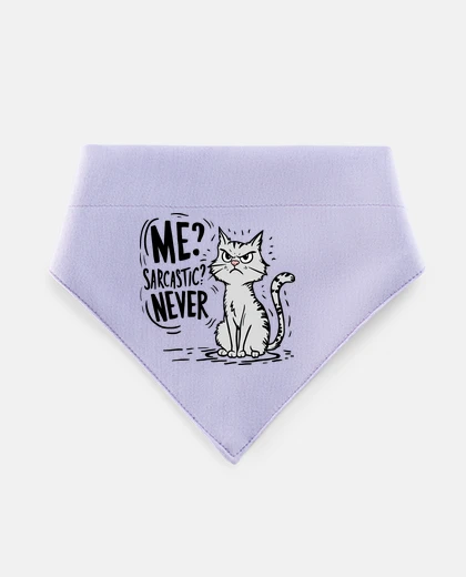 Mascotas sarcastic cat sarcasm anger
