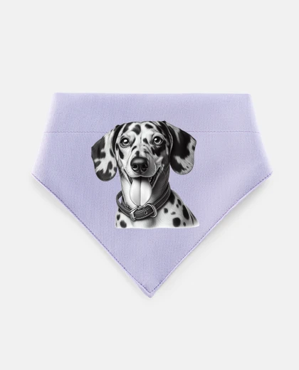 Mascotas sausage dog - dachshund