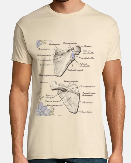 T-shirt scapola scapola-illustrazione di anatomia umana - t-shirt