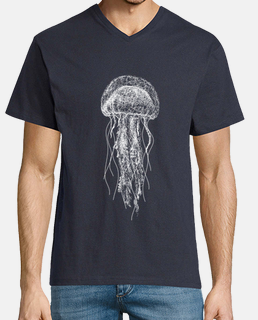 scarabocchio meduse