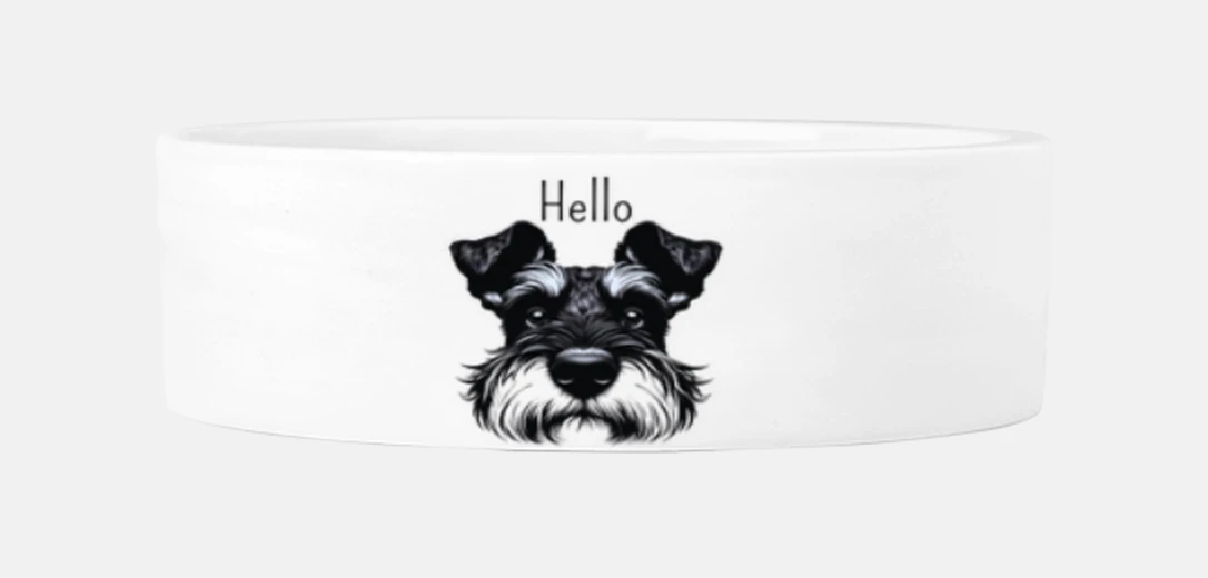 Mascotas schnauzer - hello