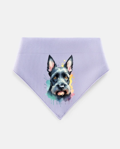Mascotas scottish terrier dog