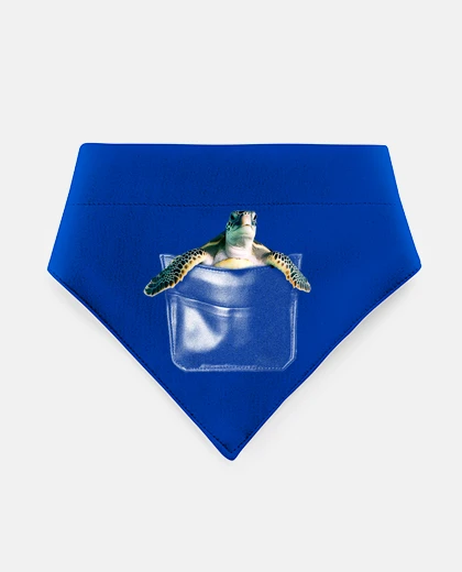 Mascotas sea turtle in a pocket