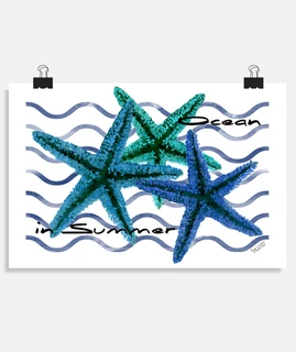sea stars ocean in summer