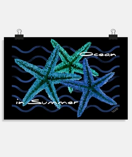 sea stars ocean in summer b