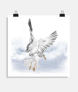 seagull