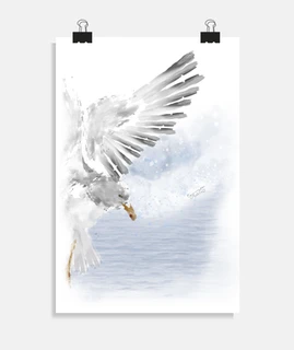 seagull 2