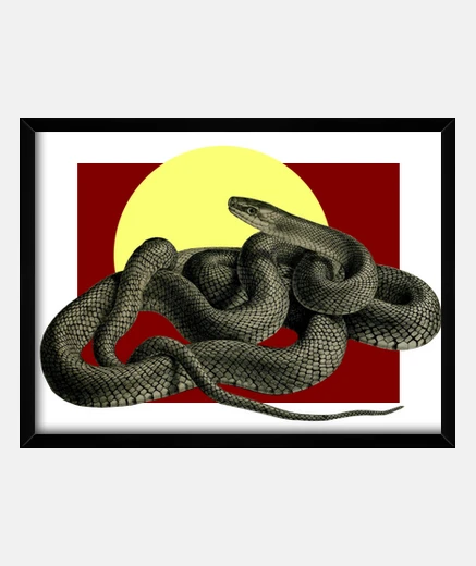 Quadro serpente cobra