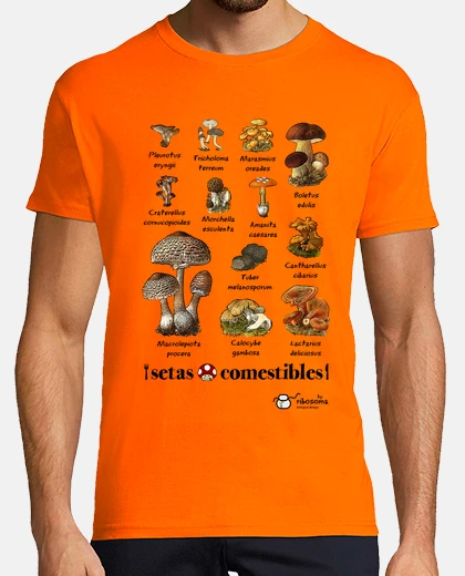 Camiseta Setas comestibles