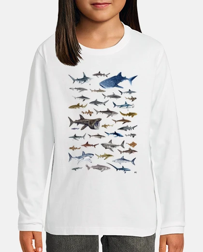 Kids sharks of the world