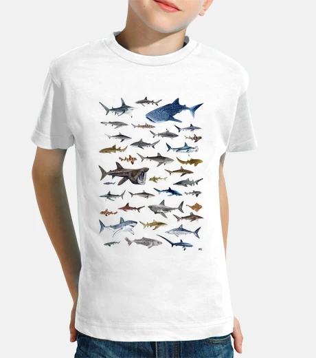 Children's sharks of the world