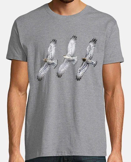 T-shirt short-toed eagles-phases