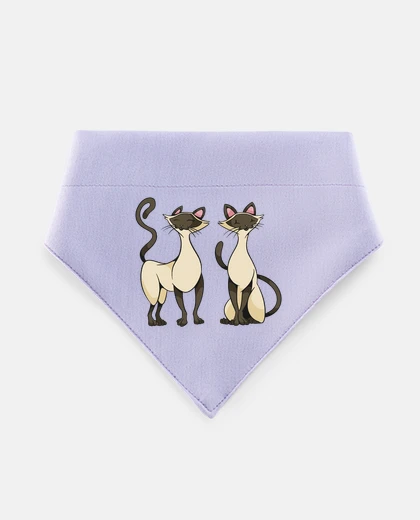 Mascotas siamese cat cats proud and elegant birthday party
