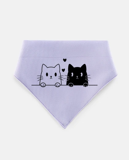 Mascotas simpatici gatti gemelli bianchi e neri