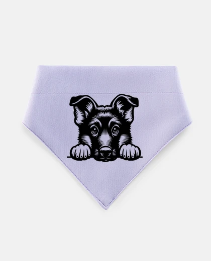 Mascotas simpatico cucciolo di pastore tedesco