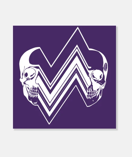 Wall skull graphic