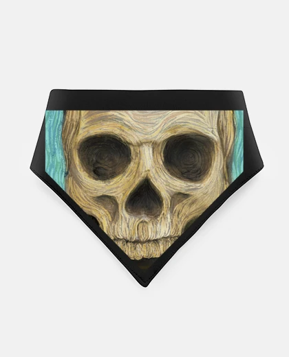 Mascotas skull on canvas n02