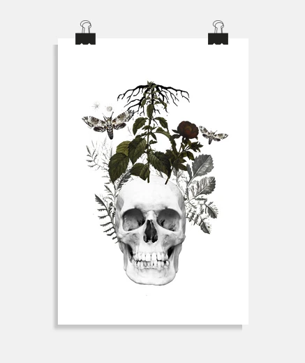 Poster Skull with flowers and plants