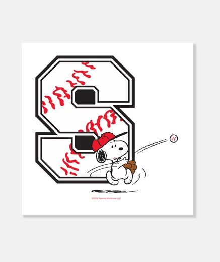 Stampa Snoopy e ball
