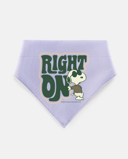 Mascotas Snoopy Joe cool proprio così
