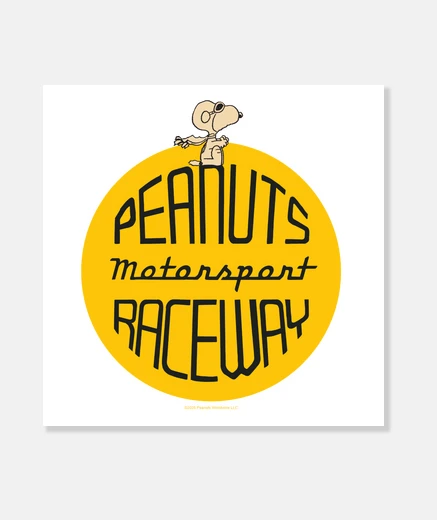 Wall snoopy peanuts motorsport raceway